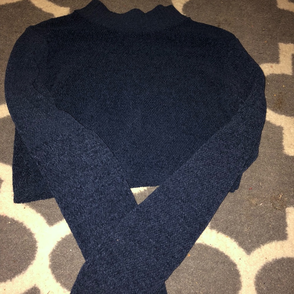 Wild fable sweater